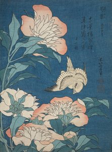 Pivoines et canari (Shakuyaku, kanaari), d